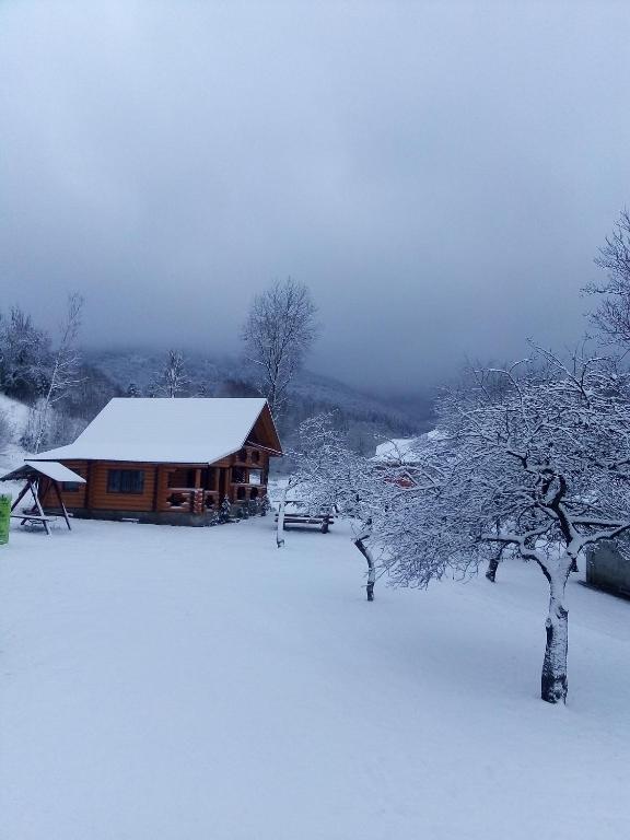 Cottage Лісовий v zimě