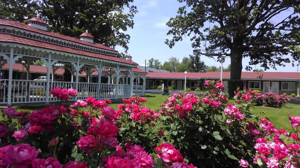 un jardin avec des fleurs roses devant un bâtiment dans l'établissement Murray Inn and Art Gallery, à Murray