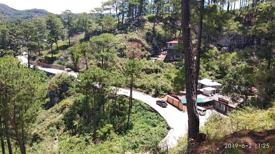 Domay's Homestay Extension