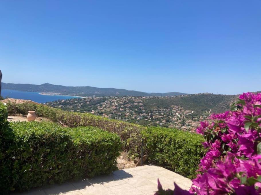 - une vue sur la ville depuis une colline ornée de fleurs violettes dans l'établissement les hauts de st clair,vue mer et vert,tres calme, au Lavandou