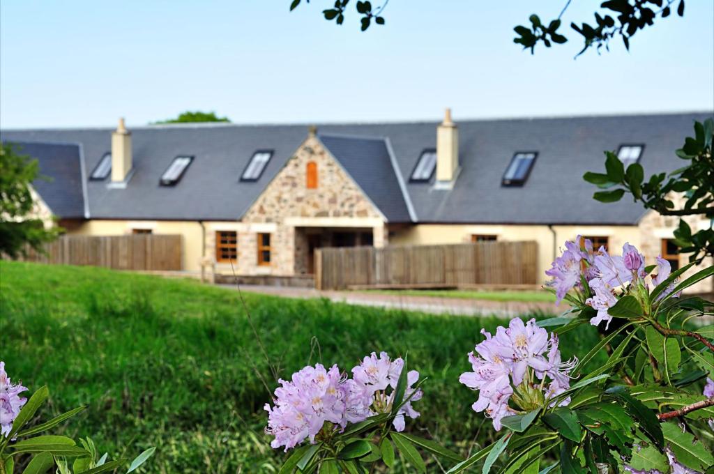 ein Haus mit einem Hof mit lila Blumen davor in der Unterkunft Rose Cottage at Williamscraig Holiday Cottages in Linlithgow