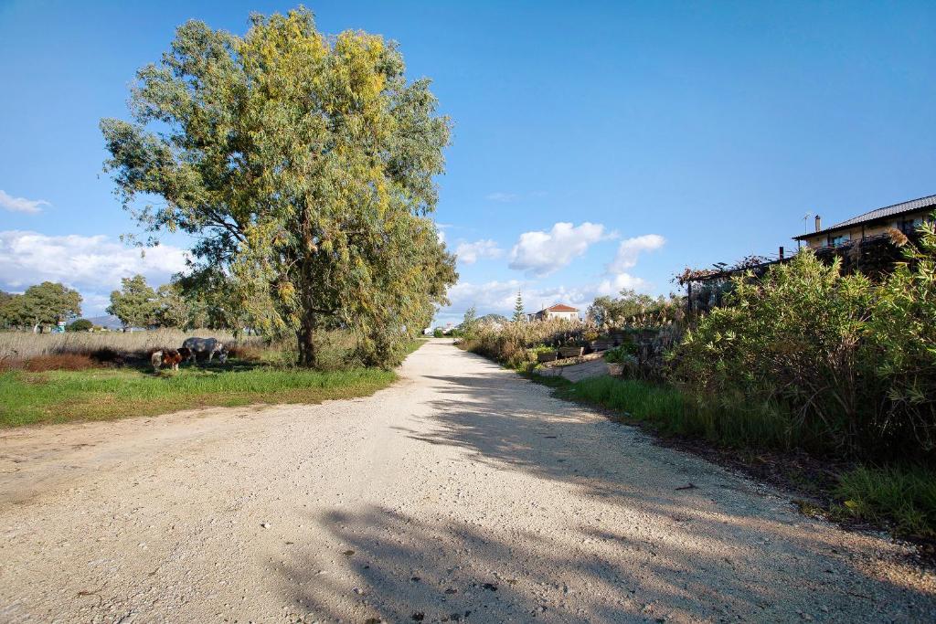 Příroda nedaleko apartmánu