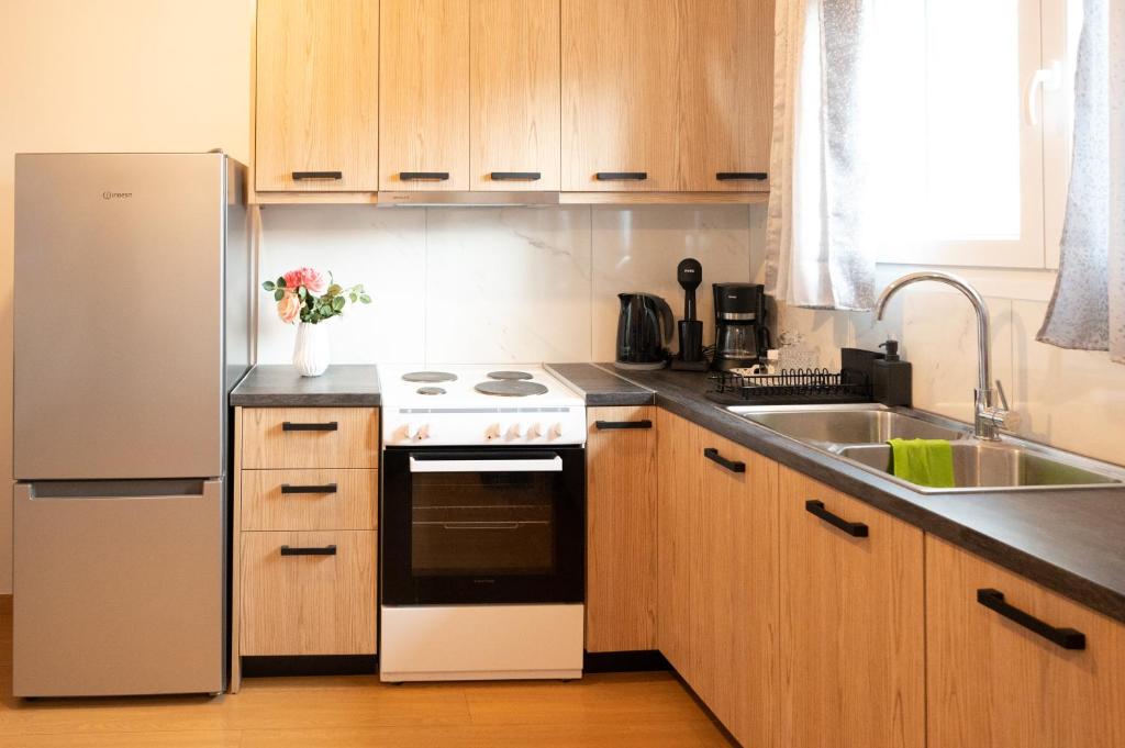Kuchyňa alebo kuchynka v ubytovaní Christopher Central Home Ioannina