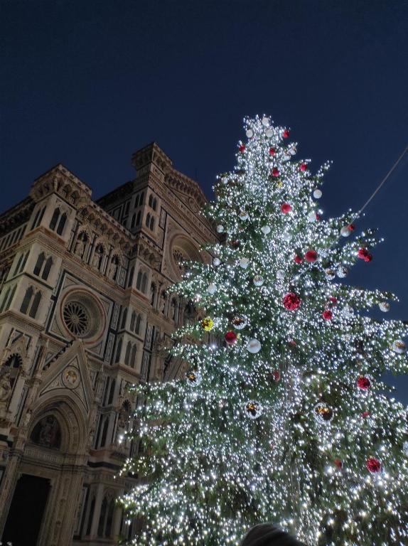 The One Firenze - Resim 14