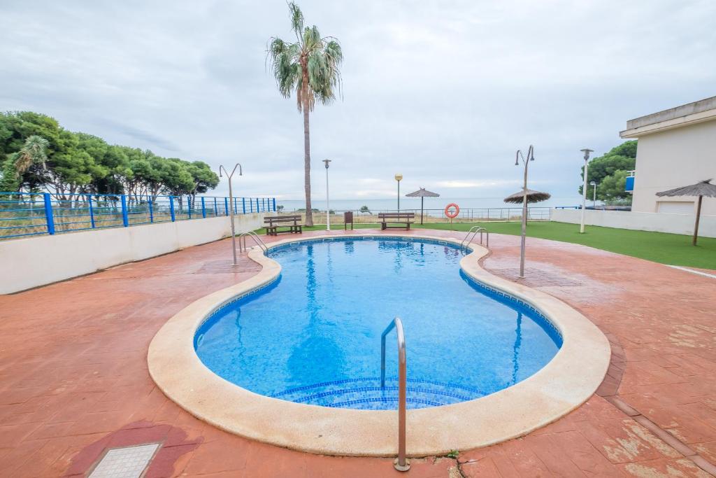 einen Pool mit Bänken und einer Palme in der Unterkunft Apartamento Merida in Alcanar