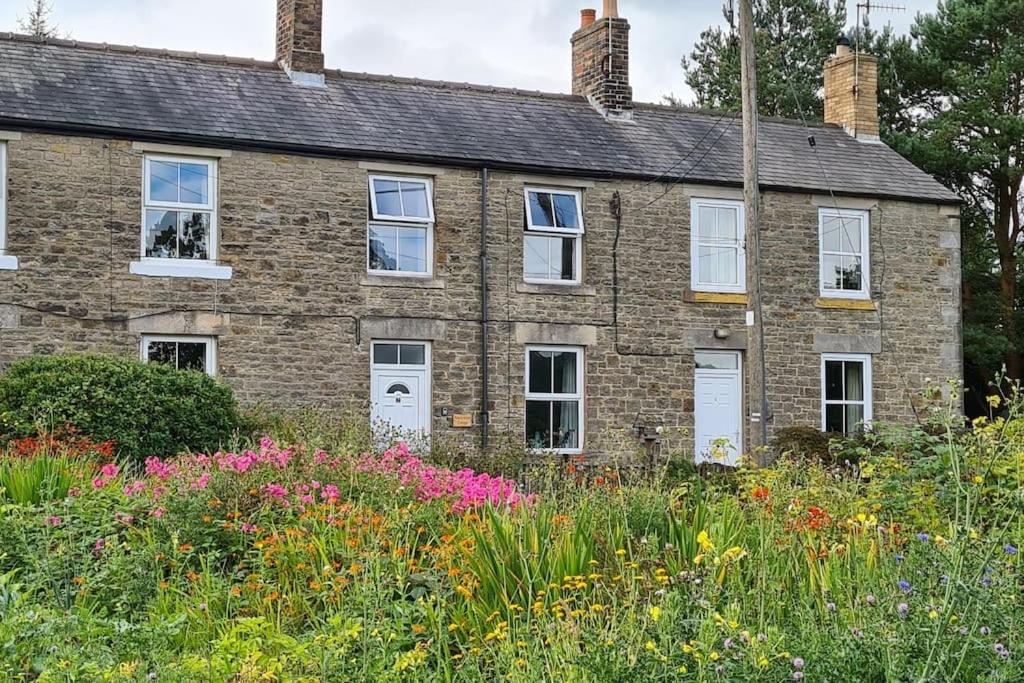 a brick house with white windows and a field of flowers at Woodcutters Cottage, Northumberland in Haltwhistle