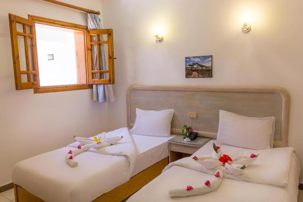 Postel nebo postele na pokoji v ubytování Acacia Dahab Hotel