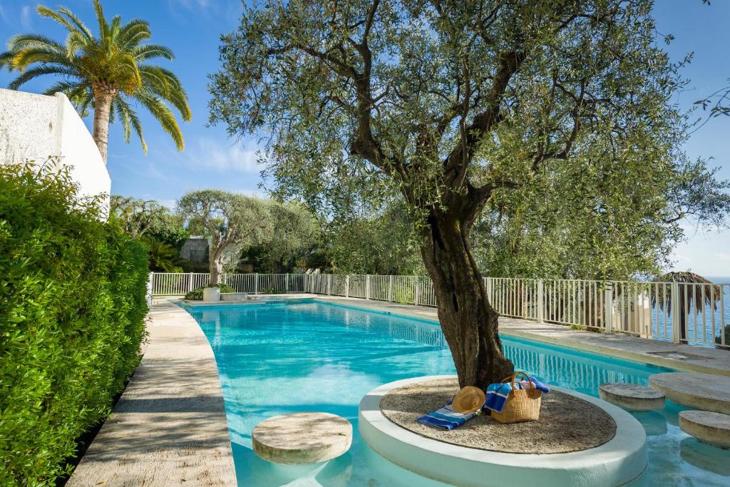 Piscina en o cerca de Ferienwohnung Les Oliviers über den Dächern von Nizza ruhig sonnig Meerblick Pool Tiefgarage Parkplatz