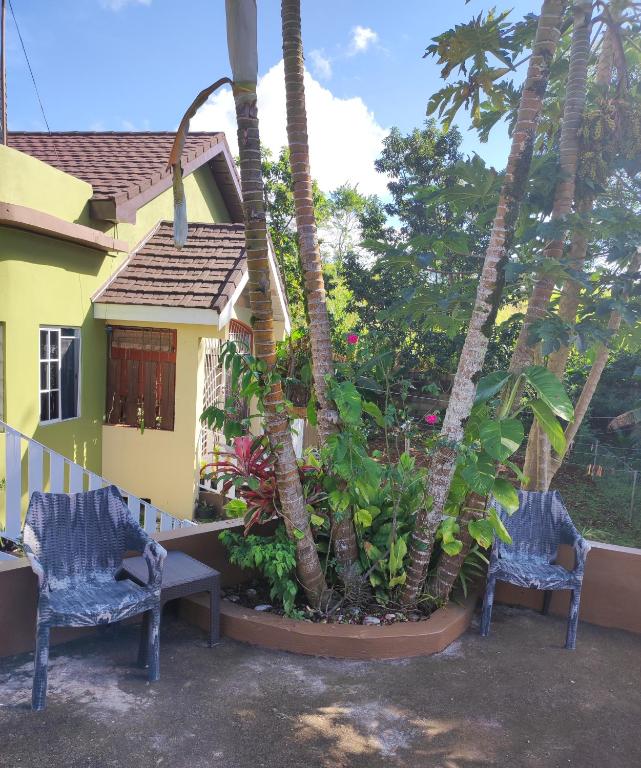 Zahrada ubytování Gables Vacation Rentals with Private Gated Parking Onsite