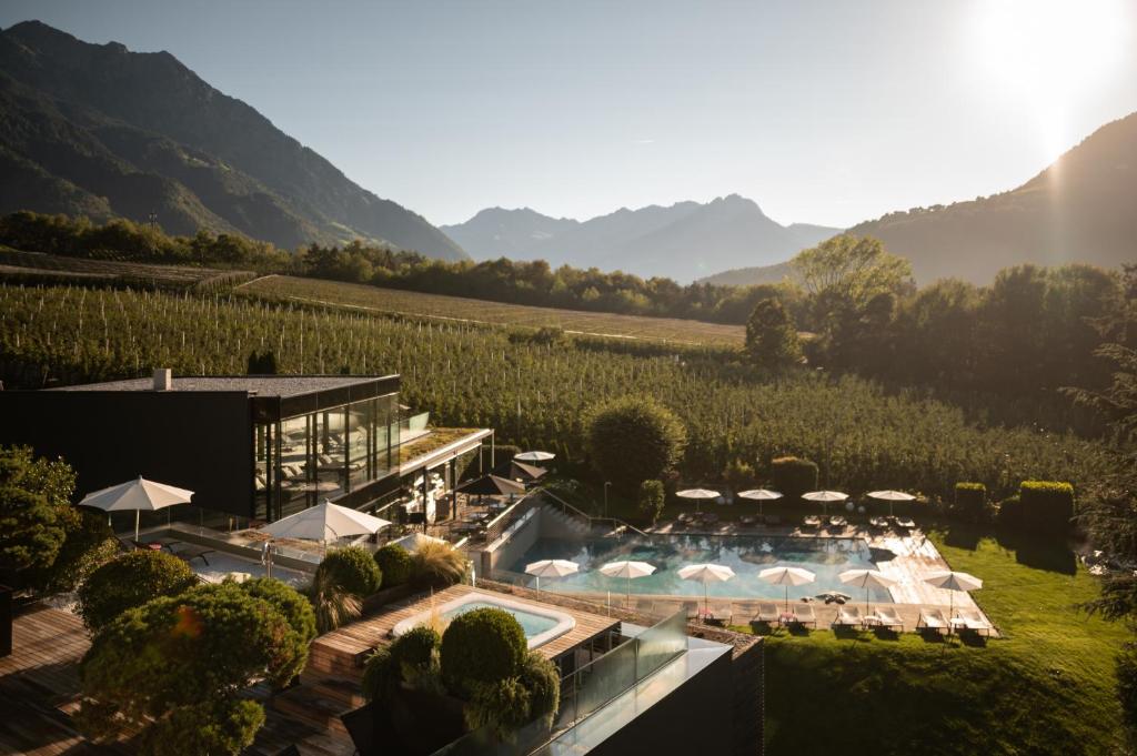 un complejo con piscina y vistas a un viñedo en Design Hotel Tyrol, en Rablà