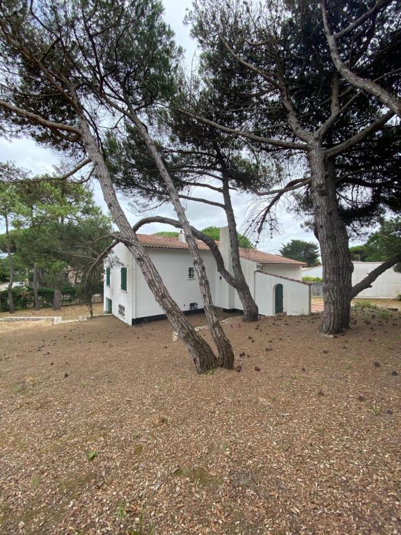 Fotografie z fotogalerie ubytování La maison du couchant v destinaci Le Bois-Plage-en-Ré