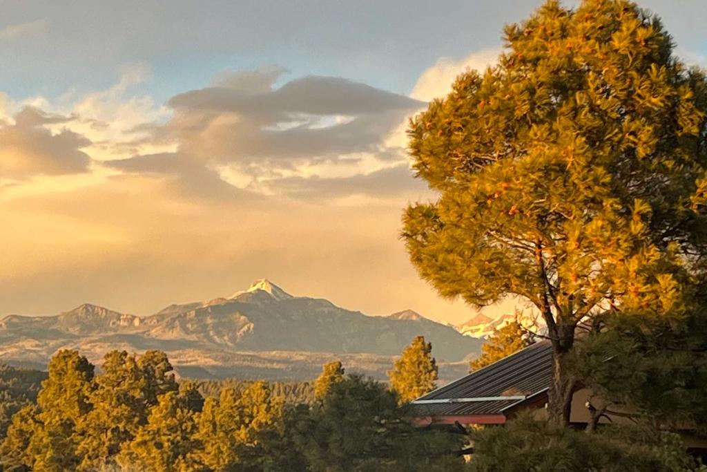 un arbre au premier plan avec une montagne au fond dans l'établissement Cozy Pagosa Condo Stunning Mountain and Lake Views!, à Pagosa Springs