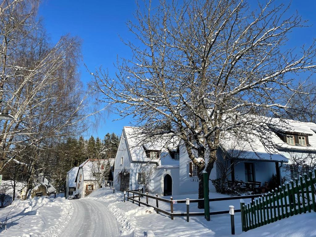 Am Herrensee during the winter
