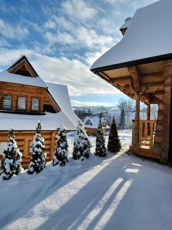 une cabine dans la neige avec des arbres de Noël dans l'établissement Góralska Chatka z Balią 2 - ZAKOPANE, à Zakopane