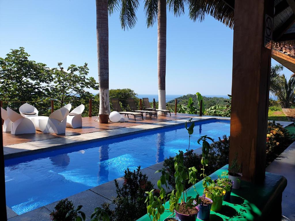 a swimming pool with white chairs and palm trees at Palmetto Lodge in Playa San Miguel 