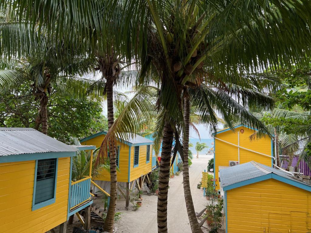 a row of colorful houses on a beach with palm trees at Colinda Cabanas in Caye Caulker
