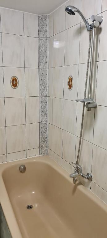 Koupelna v ubytování SG Apartment