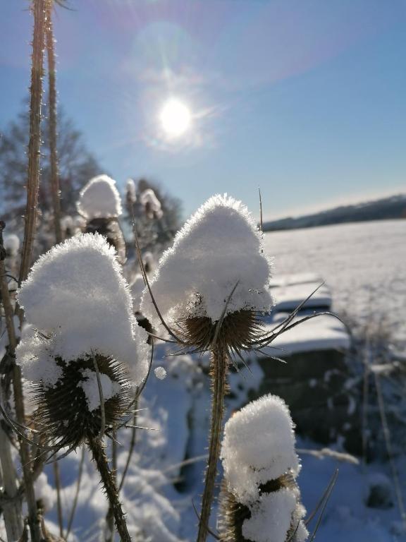 Landgasthof Plohnbachtal UG v zimě