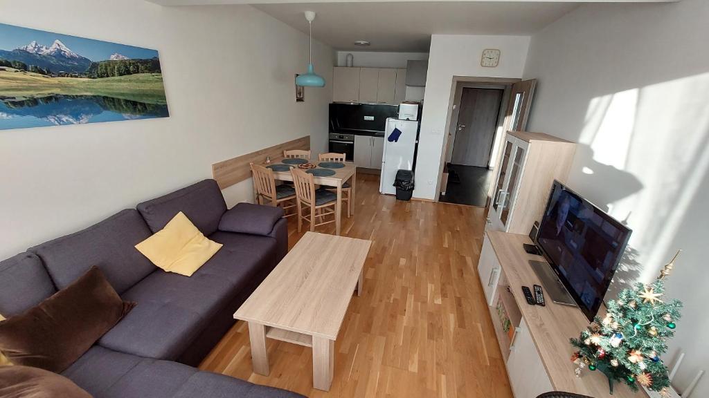 TV a/nebo společenská místnost v ubytování Apartment Iva