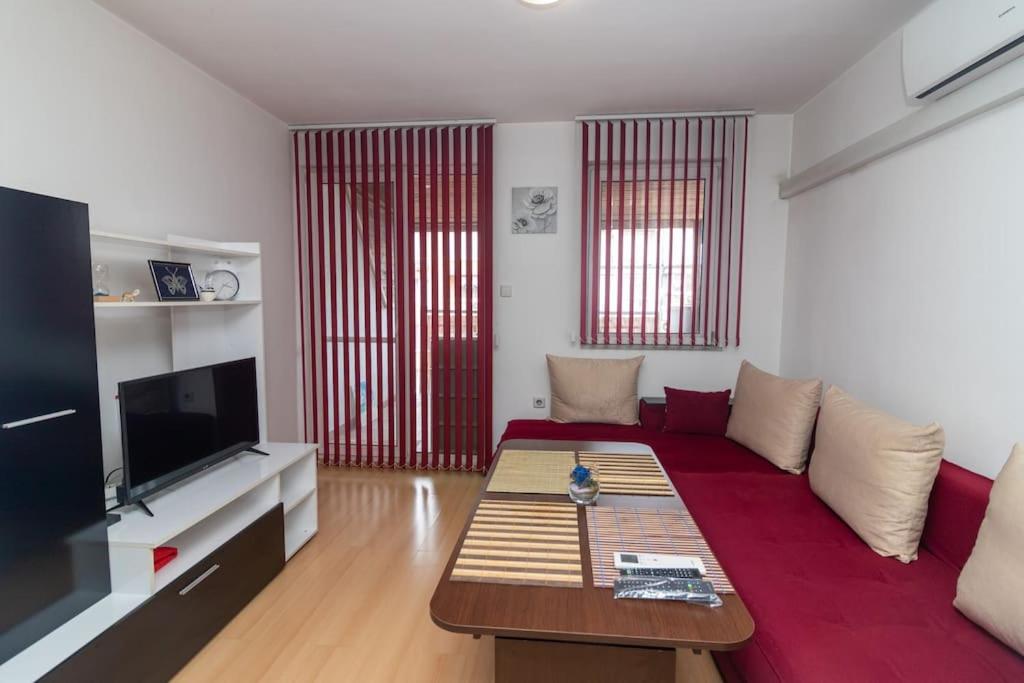 Nice, Cozy and Spacy Apartment