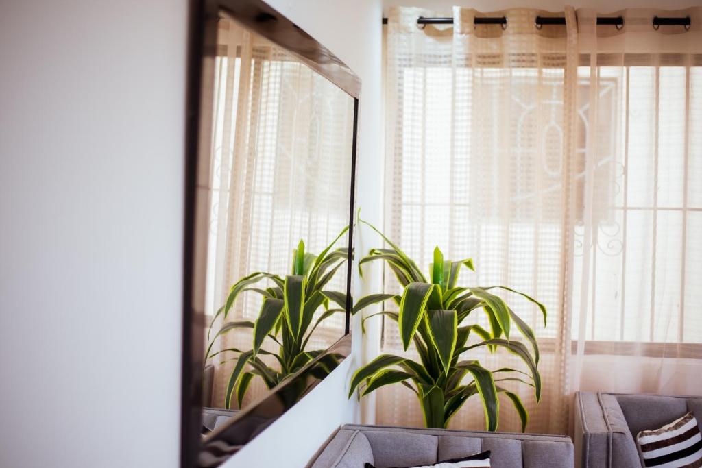 Posezení v ubytování Luxury, cozy apartment Alma Rosa /15 min airport