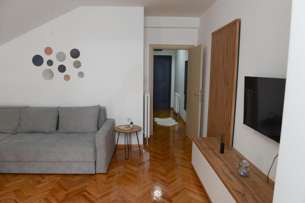 TV a/nebo společenská místnost v ubytování MD apartman Vranje FREE PARKING