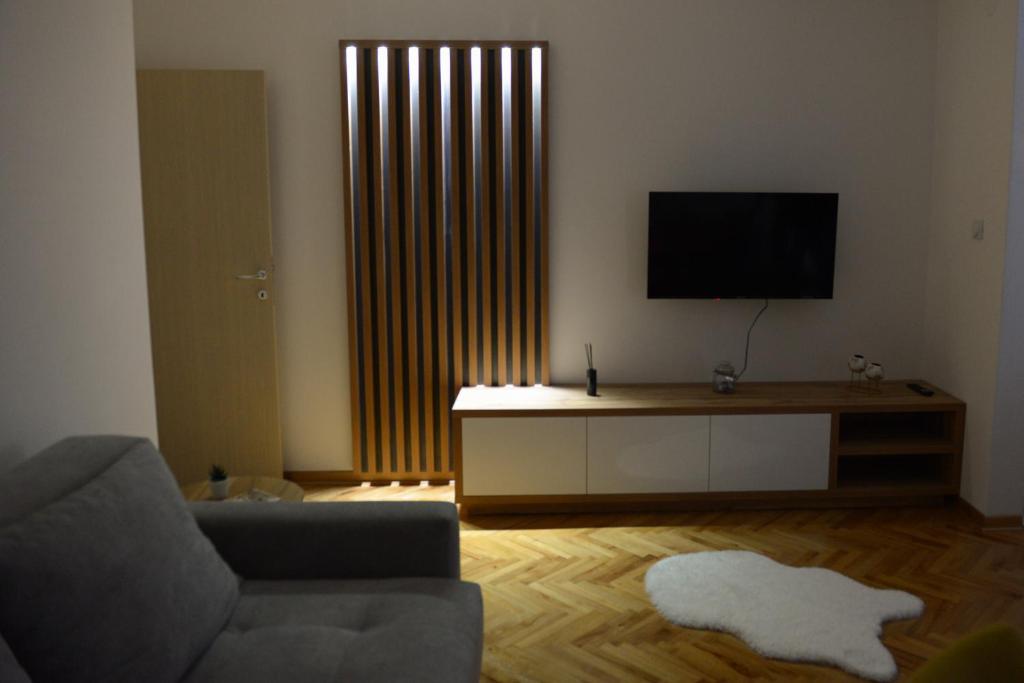 TV a/nebo společenská místnost v ubytování MD apartman Vranje FREE PARKING