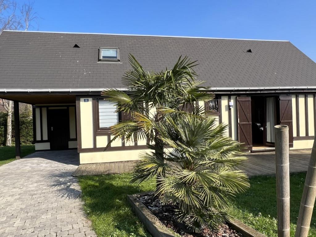 une maison avec un palmier devant dans l'établissement Charmant chalet 4P avec jardin privatif, proche plage et commerces à Merville-Franceville - FR-1-487-333, à Merville-Franceville-Plage