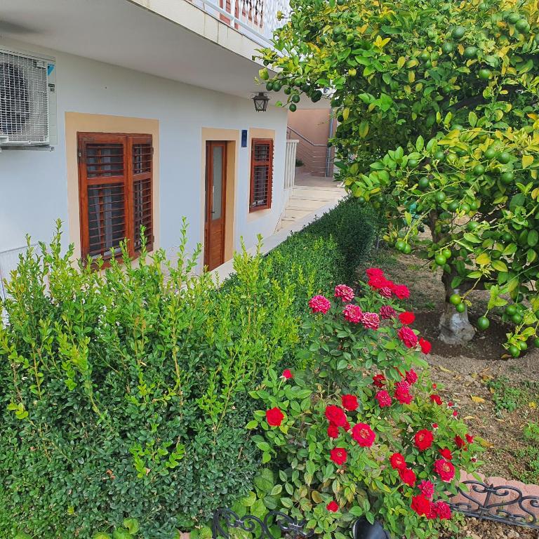 Zahrada ubytování Apartment Stipe
