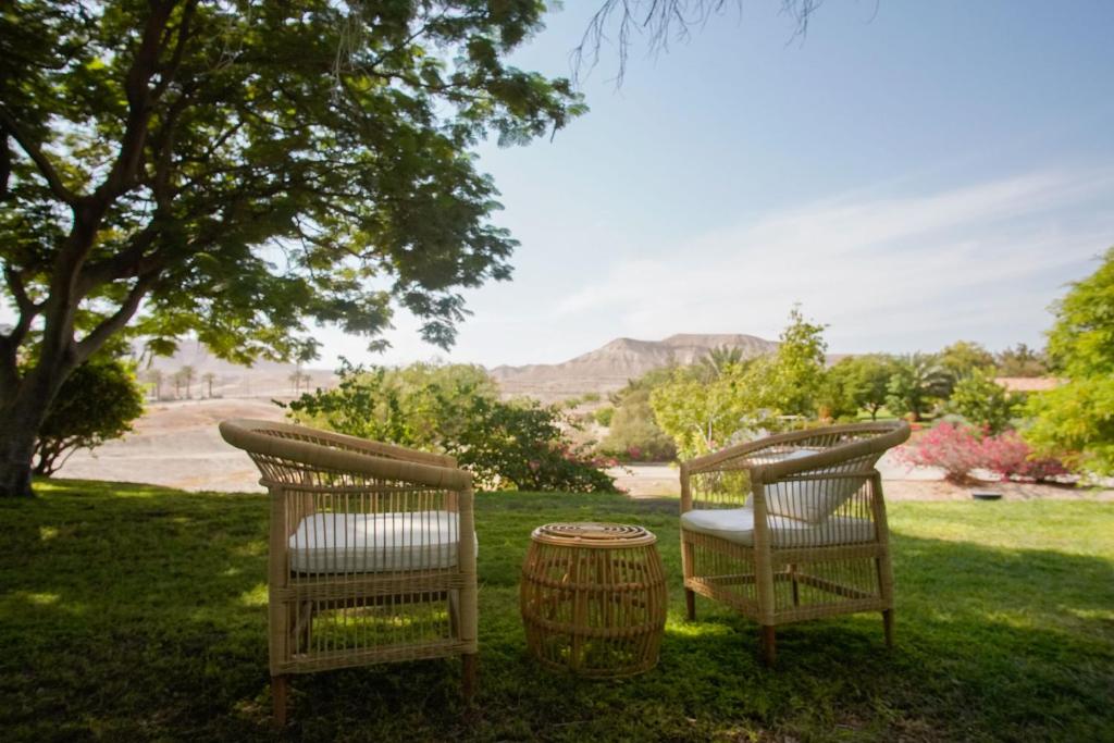 twee stoelen en een vat in het gras bij Selina Mantur Almog Dead Sea in Almog