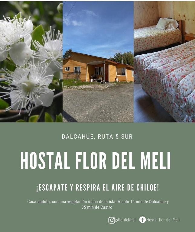 a collage of two pictures of a bed and a house at Hostal Flor del Meli in Dalcahue