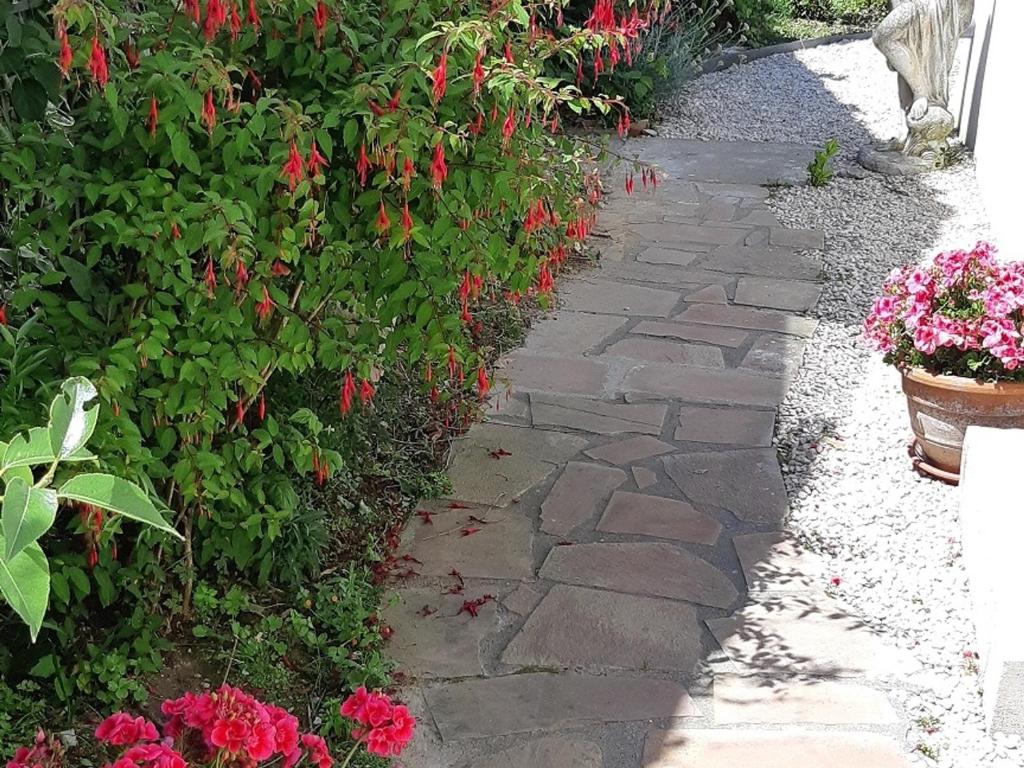 a stone walkway in a garden with red flowers at Maison La Bernerie-en-Retz, 3 pièces, 6 personnes - FR-1-612-82 in La Bernerie-en-Retz