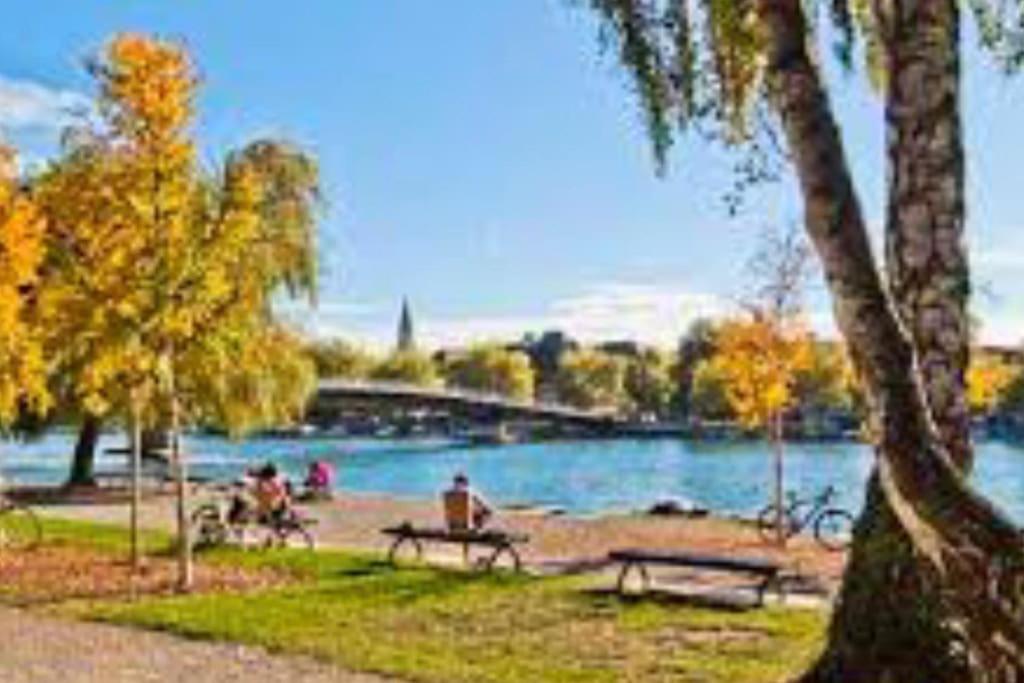 people sitting on benches in a park next to a lake at Wohnen am Wasser - Privatzimmer - Sharing Apartment in Konstanz