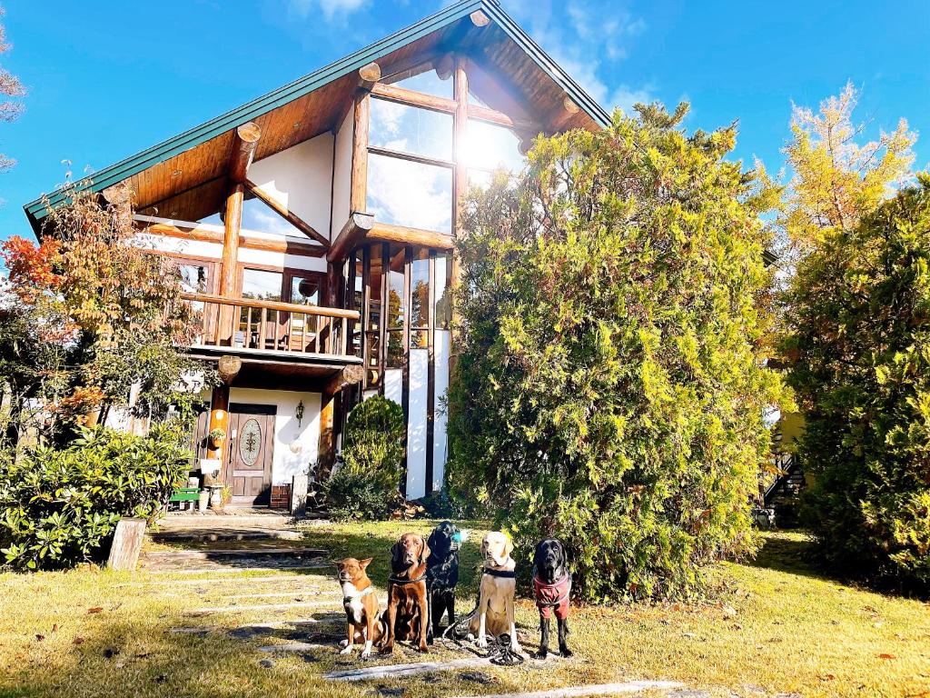 grupa ludzi i trzy psy stojące przed domem w obiekcie Hakuba Log Hotel Meteor w mieście Hakuba