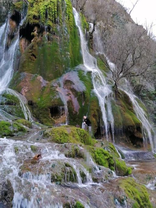 Príroda v okolí apartmánu