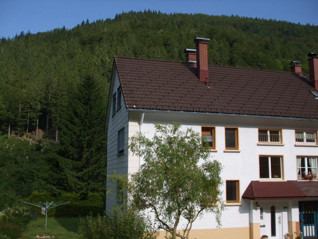 Biały dom z brązowym dachem w obiekcie Haus Post OG-Wohnung w mieście Todtnau