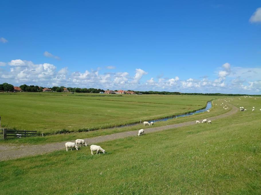 De Oostkamer; Eiland appartement naast natuurgebied Boschplaat - Appartamento Con Due Camere Da Letto