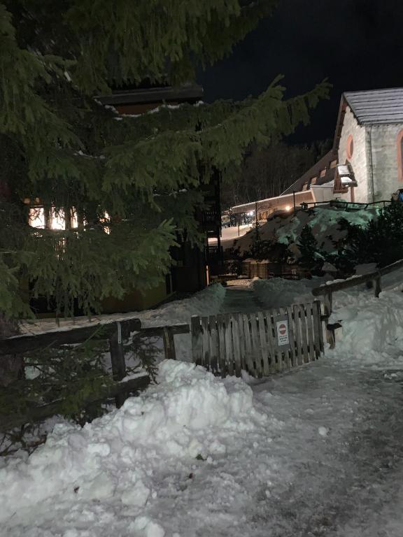 Príroda v okolí apartmánu