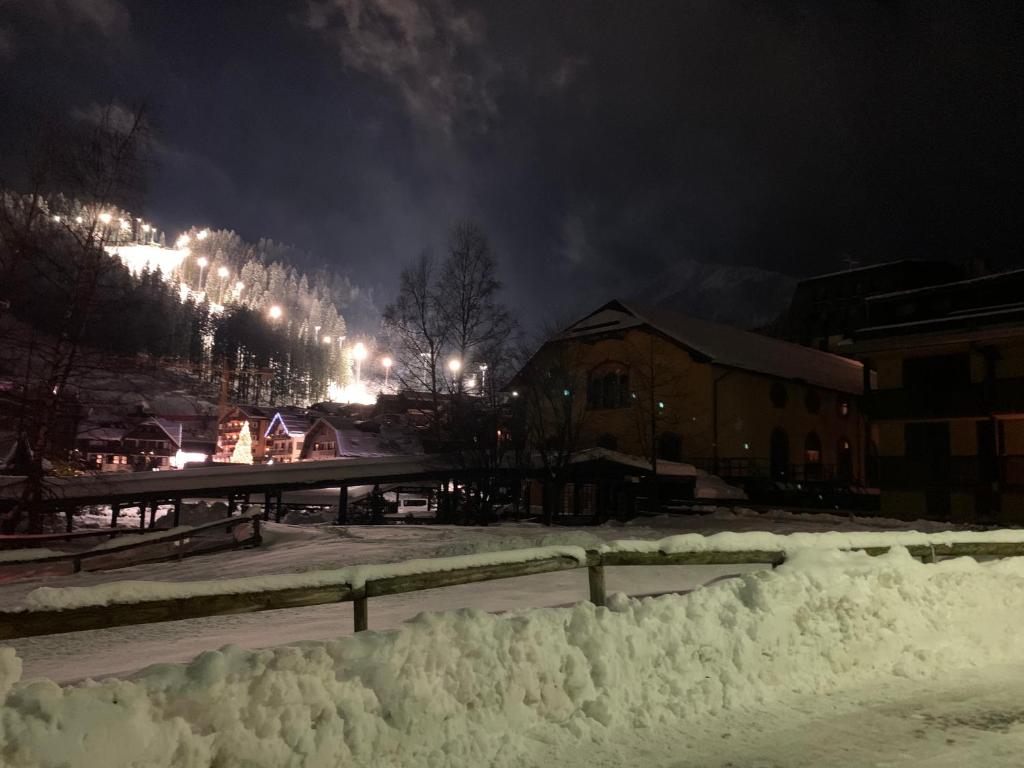 Des Alpes C Flat 11 v zime