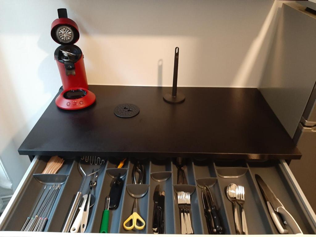 LE 1 " GÎTES TOUT CONFORT à COLMAR CENTRE" – photo 22