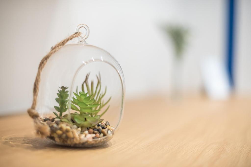 The Asprogeraka - self check-in rooms - Resim 20