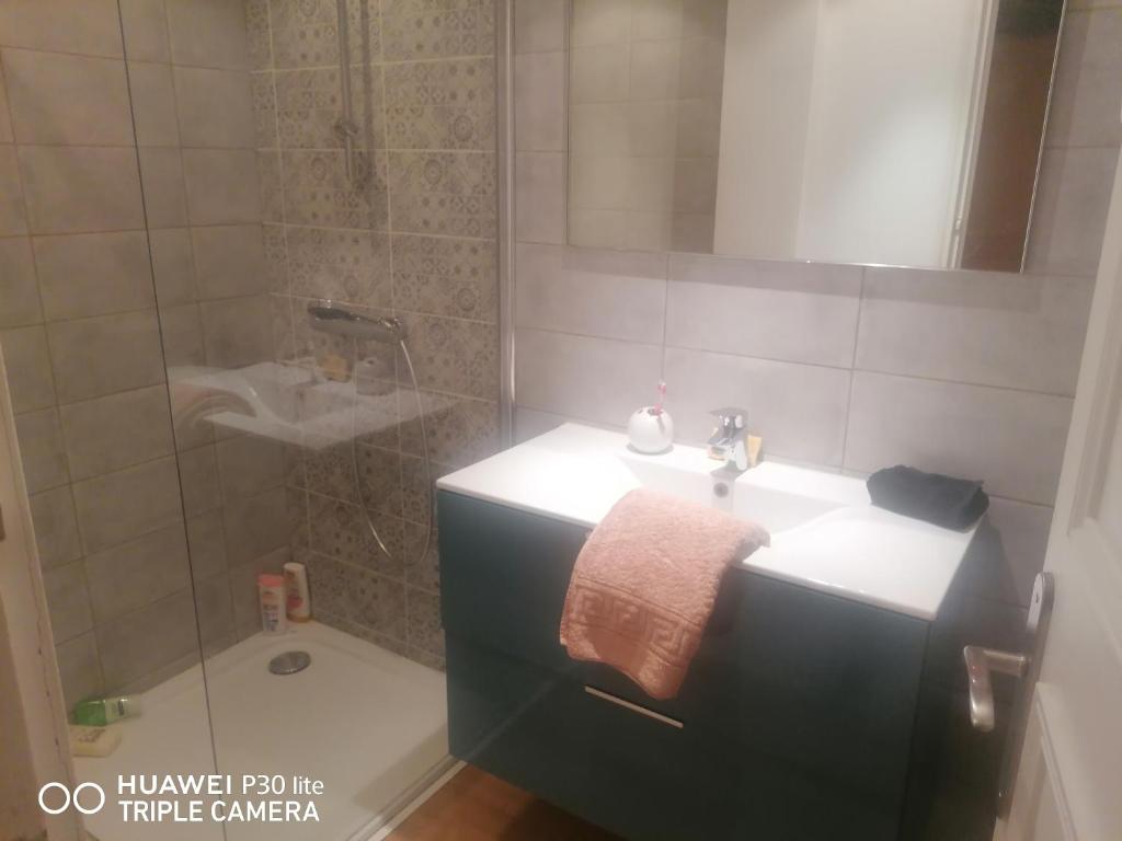a bathroom with a sink and a shower at Chambre mo in Cannes