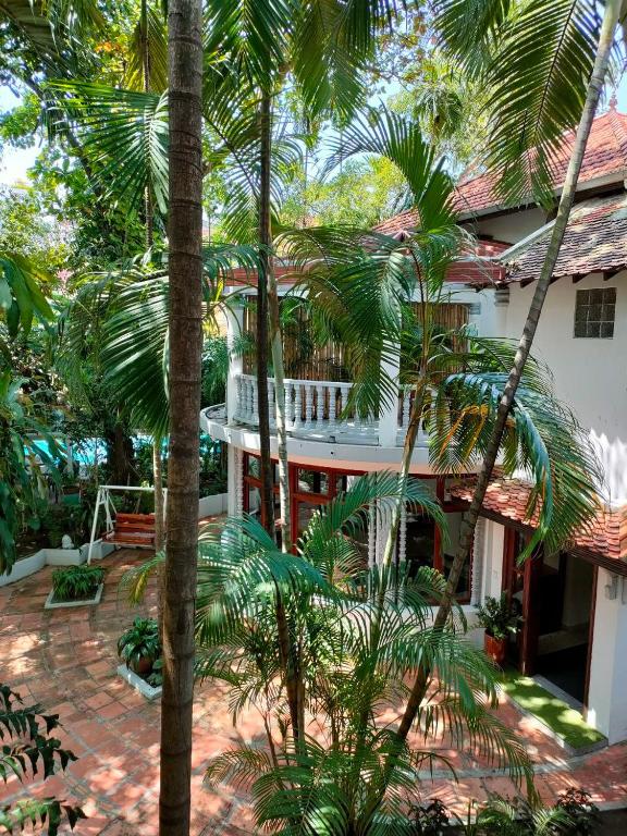 Jungle Addition photo