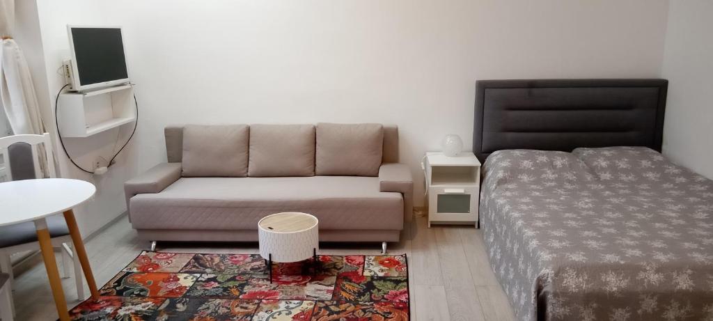 a living room with a couch and a bed at Piata Muzeului 1 in Cluj-Napoca