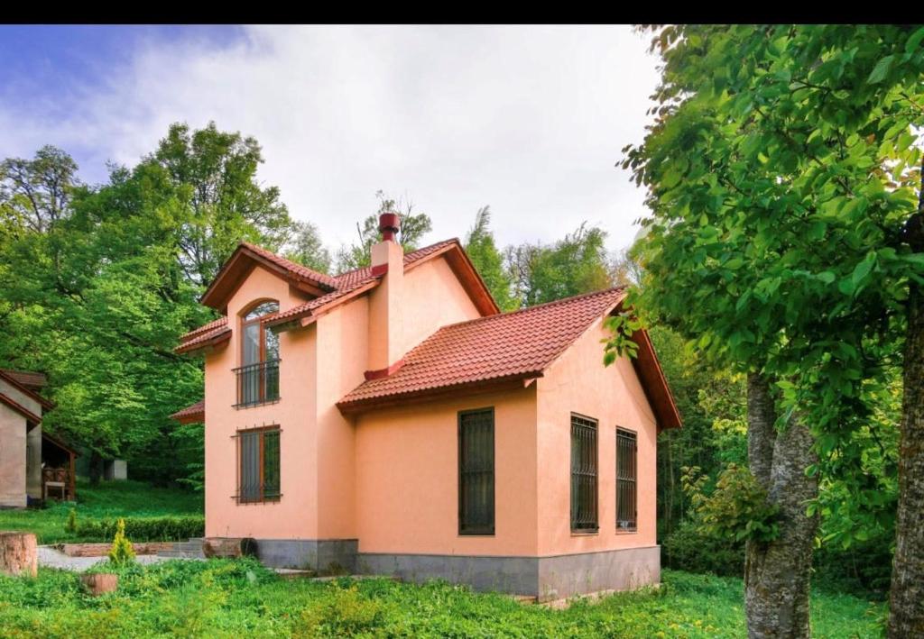 迪利然的住宿－Dilijan Dream House，一座红色屋顶的橙色小房子