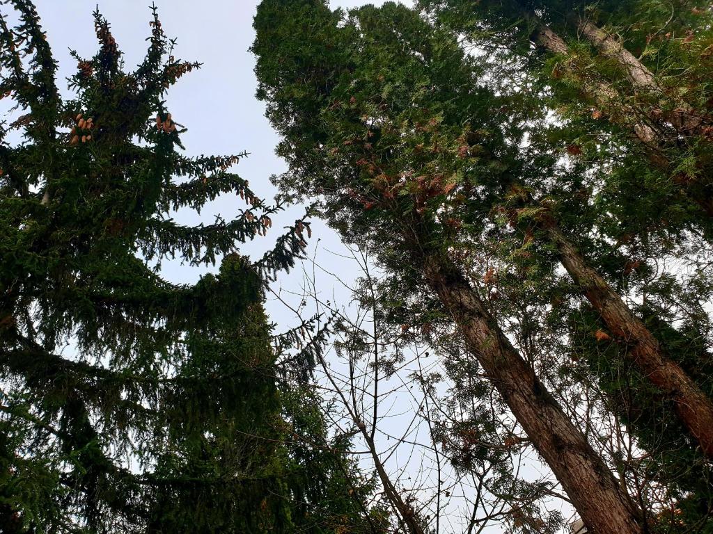 Príroda v okolí dovolenkového domu