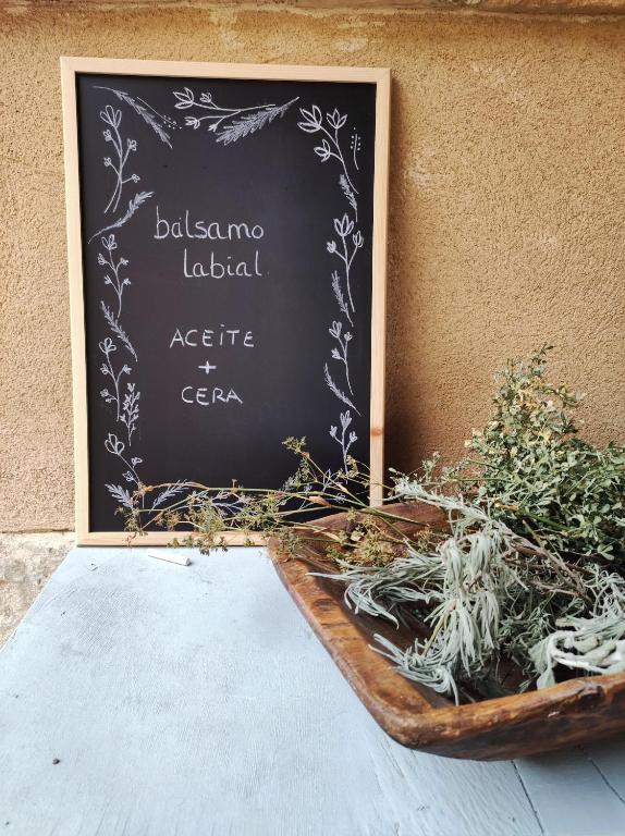 Fotografie z fotogalerie ubytování Guara VIVA Abiego v destinaci Abiego