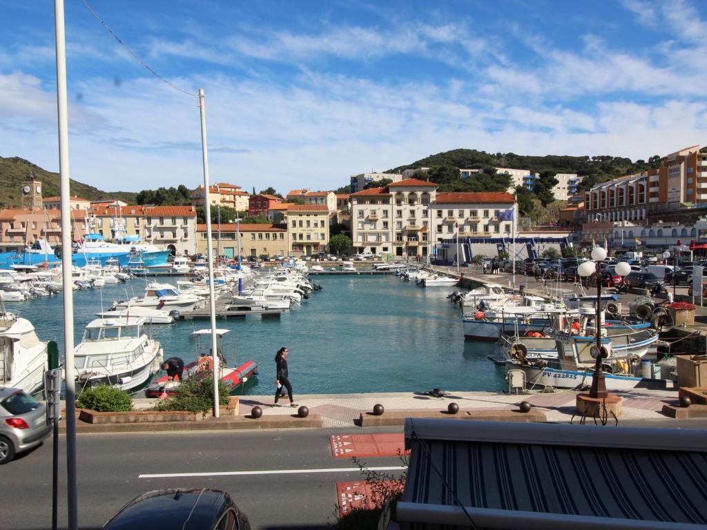 un homme faisant du skateboard dans un port de plaisance avec des bateaux dans l'établissement Port-Vendres: T2 4 pers ascenseur, loggia ensoleillée, près des commerces - FR-1-309-188, à Port-Vendres
