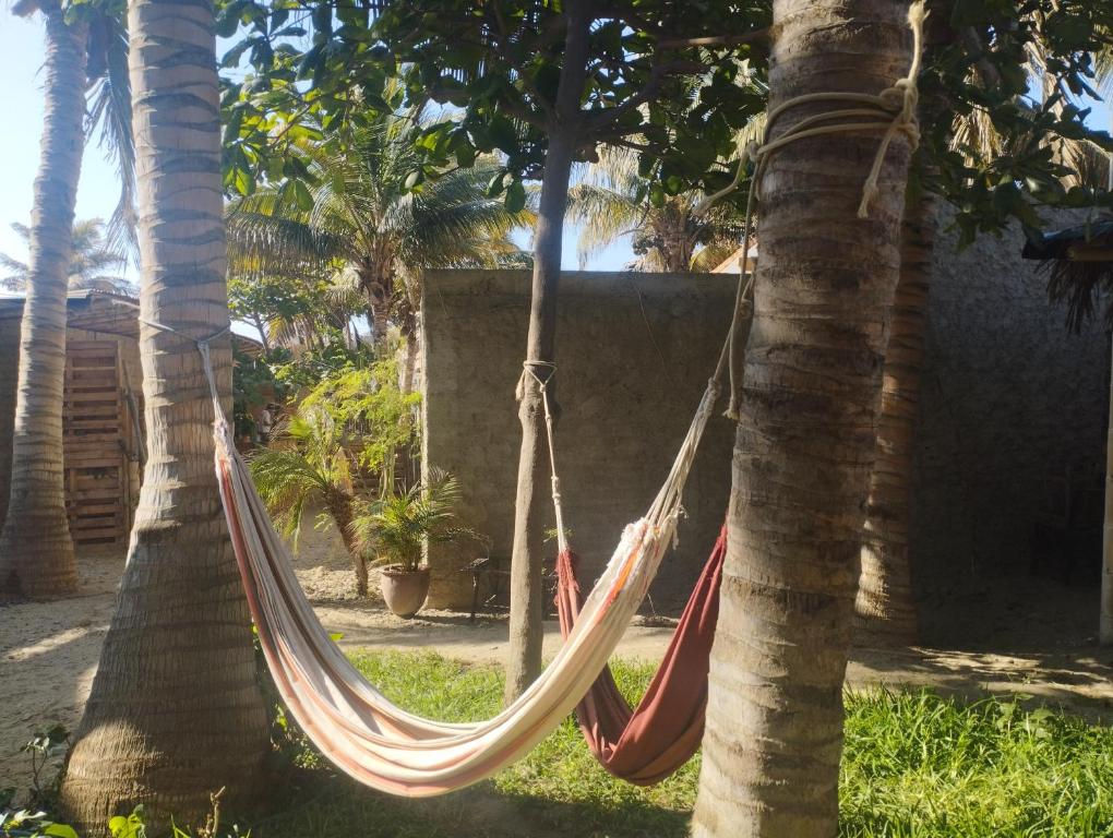 Zahrada ubytování Los Almendros de Máncora