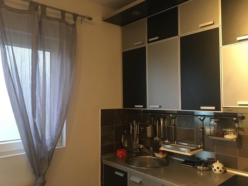 a kitchen with a sink and a window at Apartman Nikola in Belgrade